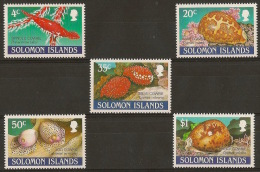 SOLOMON ISLANDS Marine Life - Marine Life