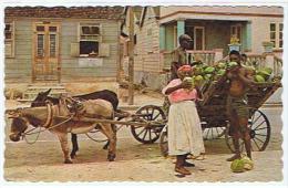 THE TROPICAL CARIBBEAN NATIVE COCONUT VENDOR    ******    SUPERBE   ***** - Sonstige & Ohne Zuordnung