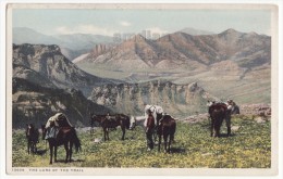 THE LURE OF THE TRAIL - US SOUTHWEST SCENIC SCENE~MEN WITH HORSES ~c1910-20s Detroit Publishing Postcard [5929] - Rochester