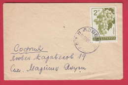 178440  / 1966 - Weintrauben ( Vitis Vinifera ) Common Grape Vine , Lovech Bulgaria Bulgarie Bulgarien Bulgarije - Brieven En Documenten