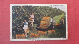 - Florida> Fort Lauderdale  Female Orange Pickers -ref 1888 - Fort Lauderdale