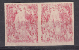 Nr 252B (2) **, Impresion Tres Dépoillée, Michel = ?? € (X09194) - Unused Stamps