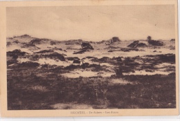 HECHTEL : De Duinen - Hechtel-Eksel