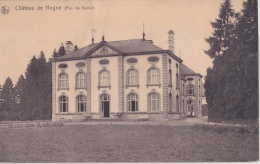 HOGNE : Château - Somme-Leuze