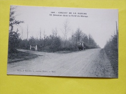 CIRCUIT DE LA SARTHE      DEVIATION DANS LA FORET DE VIBRAYE - Le Mans