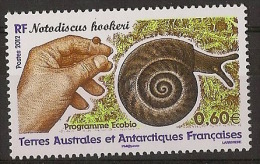 FRENCH ANTARCTIC TERRITORY Snails - Autres & Non Classés