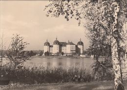 24602- MORITZBURG- THE BAROQUE CASTLE, LAKE - Moritzburg