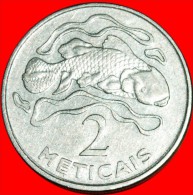 * FISH: MOZAMBIQUE ★ 2 METICAIS 2006!  LOW START ★ NO RESERVE! - Mosambik