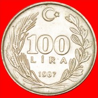 • MINT LUSTER: TURKEY  100 LIRA 1987! LOW START  NO RESERVE! - Turquie