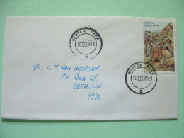 South Africa 1981 Cover To Bethulie - Amajuba Battle - Lettres & Documents