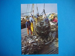 Delcampe - Cpm  Pêche En BRETAGNE  -  Déchargement Du Thon  - - Fischerei