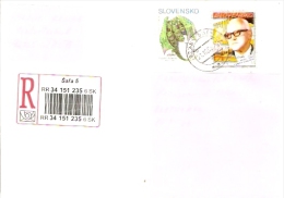Slovakia Company R Letter 2005 Sala ... AF330 - Lettres & Documents