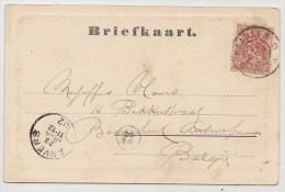 NEDERLAND - PERFIN On 1902 Briefkaart From HAARLEM - Groote Kerk-  To ANVERS - Briefe U. Dokumente