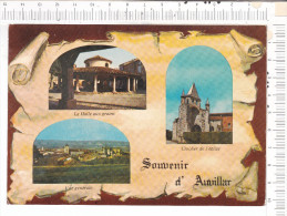 AUVILLAR   -   SOUVENIR   - 3   Vues - Auvillar