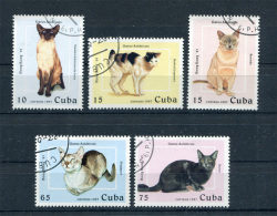 Cuba 1997 - Cats - Complete Set - 5 Stamps - Usati