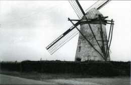 DIKKELVENNE - Gavere (O.Vl.) - Molen/moulin - De Tarandusmolen Nog In Goede Staat Met Kap En Wieken (1952). Nu Nog Romp - Gavere