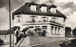 JUVIGNY-SOUS-ANDAINE    HOTEL DE LA FORET    DEPT 61 ORNE - Juvigny Sous Andaine
