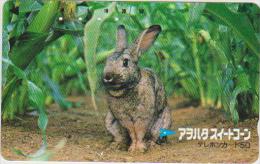 ANIMALS - RABBIT - JAPAN 02 - 110-011 - Kaninchen