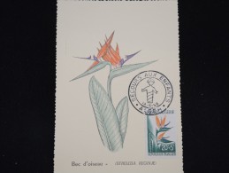 ALGERIE - Carte Maximum - Détaillons Collection - Lot N° 8327 - Cartes-maximum