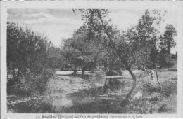 Muzillac (morbihan) - Pays De Prédilection Des Pêcheurs à La Ligne - Muzillac