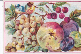 CHROMO 8 X 12 . Oiseaux Et Fruits (Raisins, Cerises, Pomme, Etc ) PUB CHICOREE A LA FRANCAISE /  P. Mairesse Cambrai - Thé & Café