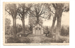 - 2173 -    PALOGNE Et Ses Environs Chapelle St RAHI ( Carte Coupee ) - Ferrieres