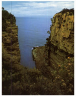 (PH 444) Australia - TAS - Devil's Kitchen - Wilderness