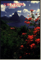 West Indies  -  St. Lucia  -  The Pitons  -  The Lush Foliage Of The Rain Forest  -  Ansichtskarte Ca.1998    (4817) - Santa Lucía