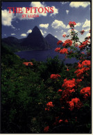 West Indies  -  St. Lucia  -  The Pitons  -  The Lush Foliage Of The Rain Forest  -  Ansichtskarte Ca.1998    (4817) - St. Lucia