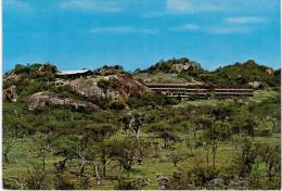 Afrique -   Tanzanie - Lobo Lodge - Tanzanie