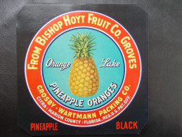 USA - Ancienne étiquette De Caisse De Fruits Et Légumes - Ananas - Frutta E Verdura