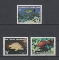 (S1205) FRENCH POLYNESIA, 1981 (Fishes). Complete Set. Mi ## 322-324. MNH** - Neufs