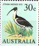 Australia 1966 30c Straw-necked Ibis MNH - Mint Stamps