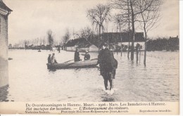 Hamme 1906, De Overstroomingen, Het Inschepen Der Bezoekers, Climan-Ruijssers (05695) - Hamme