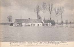 Hamme 1906, De Overstroomingen, Eene Hoeve Te Midden Van Het Veld, Climan-Ruijssers (05696) - Hamme