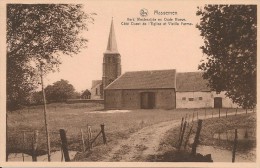 Massemen- Kerk Westerzijde En Oude Hoeve. - Wetteren