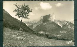 Les Belles Alpes Françaises - 6615 - Clelles ( Isère ) Le Mont Aiguille  - Rav81 - Clelles