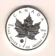 CANADA - PIECE DE 5 DOLLARS EN ARGENT 2011 - SILVER COIN - NEUVE DANS BOITIER - Canada