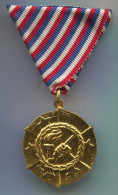 YUGOSLAVIA Communism - JNA People Army Medal, Original - Sonstige & Ohne Zuordnung