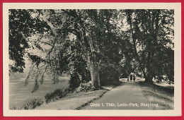 AK  ´Greiz' Lenin-Park ~ Um 1955 - Greiz