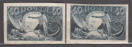 Russia USSR 1921 Mi# 155 Standard MH * Different Tint - Unused Stamps