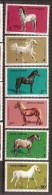 Romania  **  & Cavalos De Raça 1984 (3528) - Unused Stamps