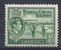 150021182  TURKS CAICOS  YVERT  Nº  121  */MH - Turks And Caicos
