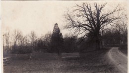 Photo Hiver 1918-1919 GONDRECOURT-LE-CHATEAU - Le Parc Du Château Du Val D´Ornain (A112, Ww1, Wk 1) - Gondrecourt Le Chateau
