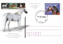 M POLAND - Postcard - 2008.08.09. Cp 1471 XXX National Arabian Horse Show In Janow Podlaski - Entiers Postaux