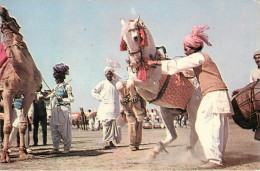 Pakistan - Animaux - Chevaux - Chameaux - Dancing Horese - Dancing Camel - Semi Moderne Grand Format - Pakistan