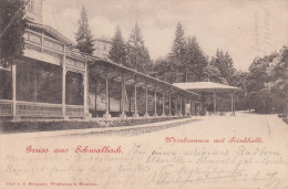 GRUSS AUS SCHWALBACH / WEINBRUNNEN MIT TRINKHALLE - Bad Schwalbach