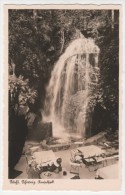 Bastei - S/w Sächsische Schweiz Amselfall - Bastei (sächs. Schweiz)