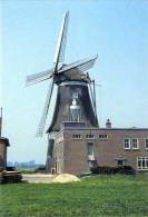 HEETEN ~ Raalte (Overijssel) - Molen/moulin - Historische Opname Van De Gewezen Achtkante Stellingmolen In Verval (1962) - Sonstige & Ohne Zuordnung