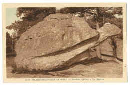 T854 -  Chaintreauville - Rochers Gréau - La Tortue - Saint Pierre Les Nemours